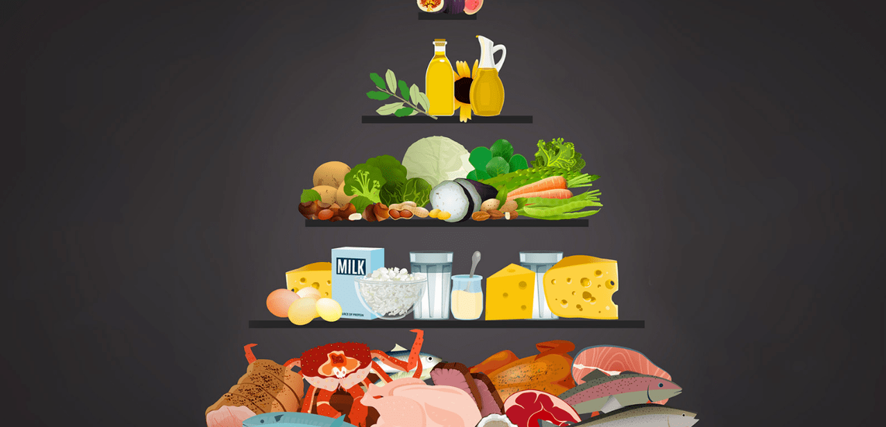 Proteinová dieta